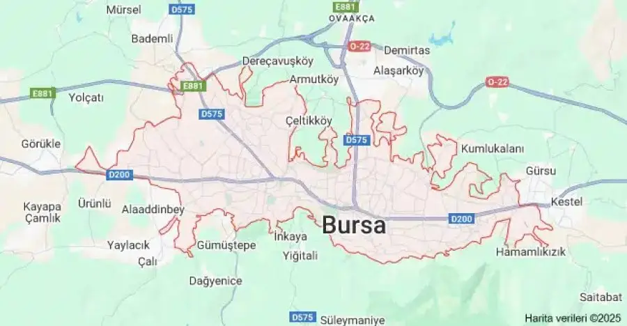 Bursa Çiçekçi Sitesi Kur