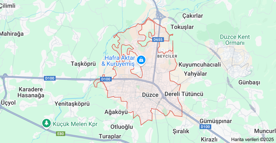 Düzce Çiçekçi Sitesi Yaptırmak