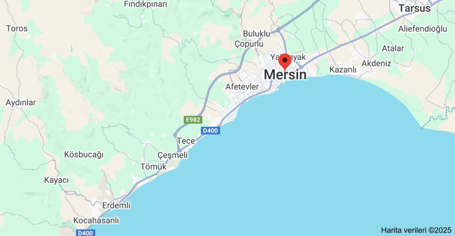 Mersin Çiçekçi Sitesi Yaptırmak