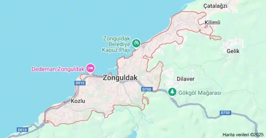 Zonguldak Çiçekçi Sitesi Kur